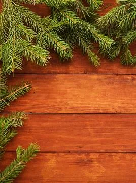 Christmas pine tree background Stock Photos