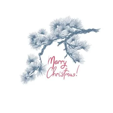 Christmas pine tree branch, hand drawn vintage style. Vector Illustrazione stock
