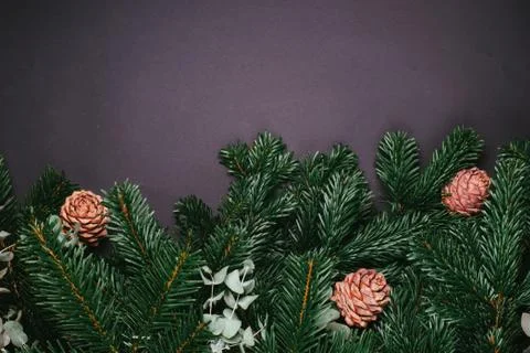 Christmas pine tree with cone Stock-Fotos