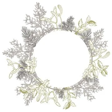 Christmas plants frame. Stock Illustration