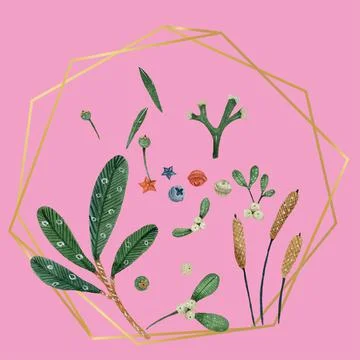 Christmas plants mistletoe pine trees in gold frame イラスト素材