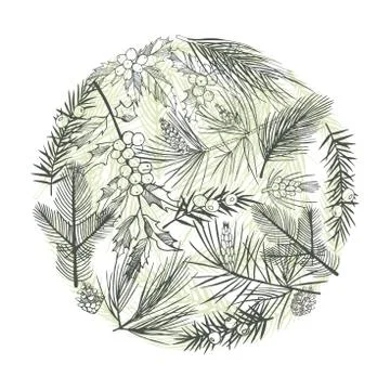 Christmas plants set. Stock Illustration