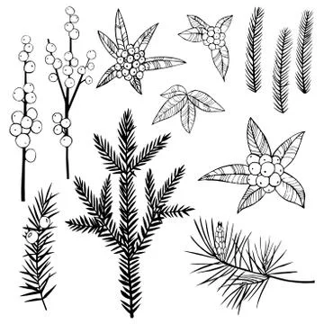 Christmas plants set. Stock Illustration