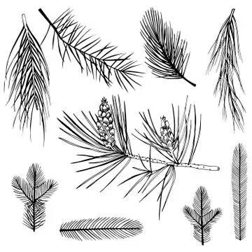 Christmas plants set. Stock Illustration