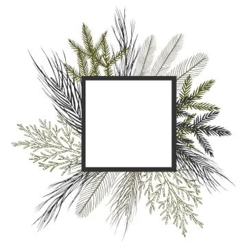 Christmas plants set. Stock Illustration