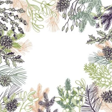 Christmas plants set. Stock Illustration