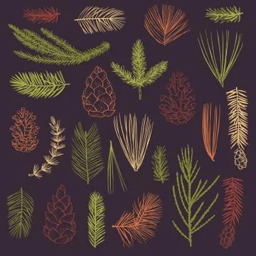 Christmas plants set. Stock Illustration