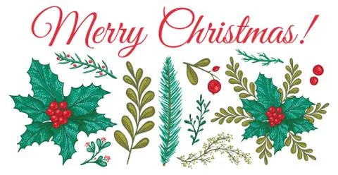 Christmas plants template Stock Illustration