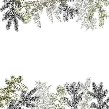 Christmas plants. Vector background Stock Illustration