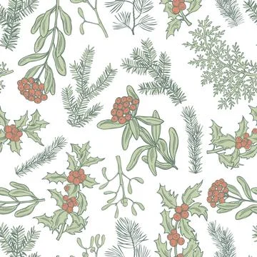 Christmas plants. Vector   pattern 스톡 일러스트