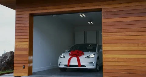 Christmas present car Stock Footage 103869413