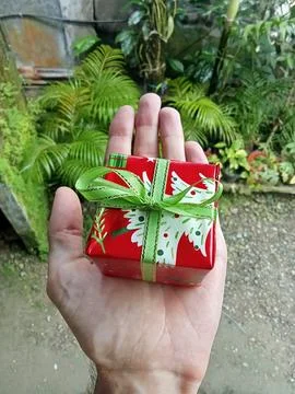 Christmas present in hand Photos