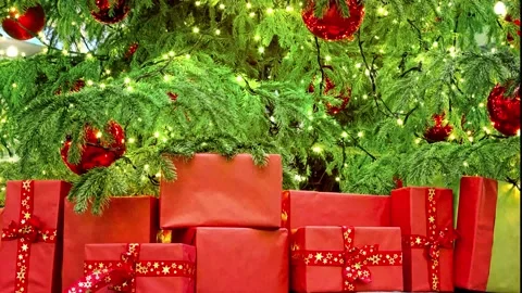 Christmas present in red wrapping under the christmas tree Stock Footage 144215259