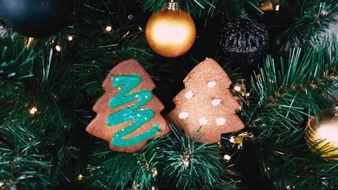 Christmas present on spruce branches, LED light. Herringbone cookie Stock Footage 219993768