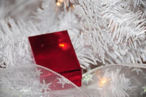 Christmas Present in tree Photos