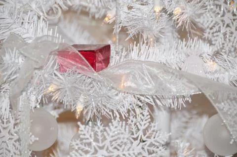 Christmas present in tree Stock Photos