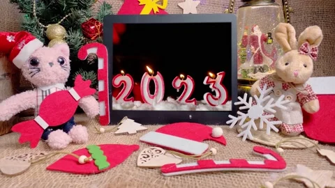 Christmas rabbit and cat with digital tablet, Stock Footage 221459544
