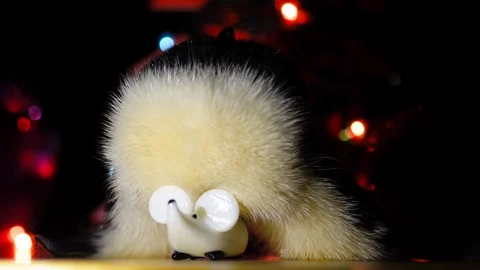 Christmas rat or mouse Stock Footage 109466122