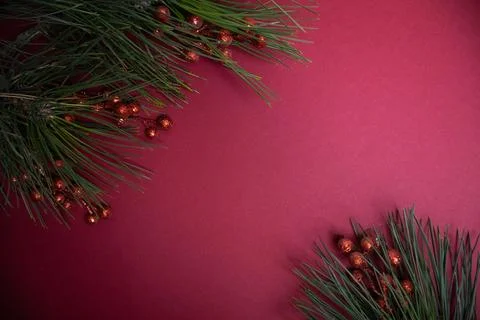 Christmas red background with pine branches and red holly berries in corners Stock Photos