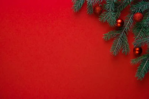 Christmas red background with spruce branch in the upper right corner, copy Stock Photos
