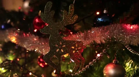 Christmas Reindeer Stock Footage 44876865