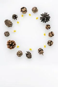Christmas round frame with pine cones and pills Stock Photos