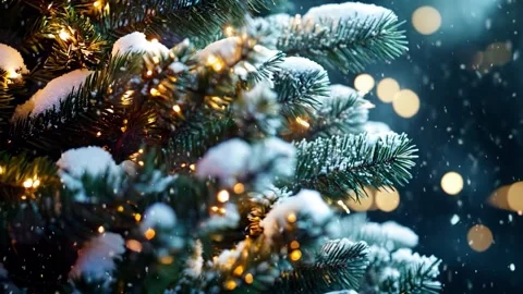 Christmas scene with copy space. Stock Footage 290167597