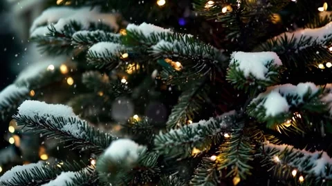 Christmas scene with copy space. Stock Footage 290167602