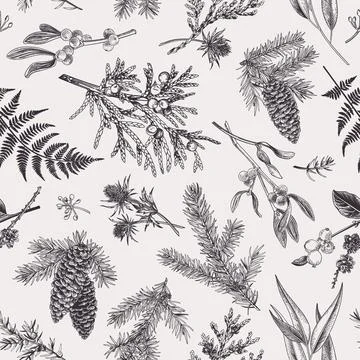 Christmas seamless botanical pattern. Stock Illustration