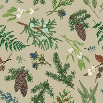 Christmas seamless botanical pattern. 스톡 일러스트