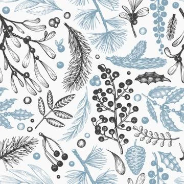 Christmas seamless pattern. Hand drawn vector winter plants background. Conif Stock Illustration