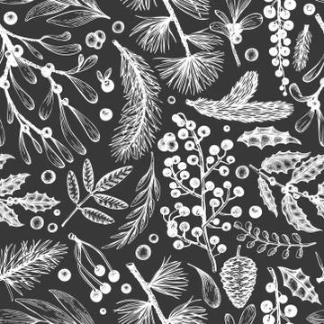 Christmas seamless pattern. Hand drawn vector winter plants background. Conif Stock Illustration