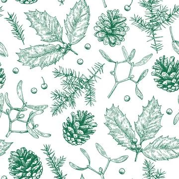 Christmas seamless pattern with pine cones, holly, mistletoe and juniper. M.. Stock Illustration
