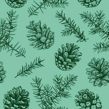 Christmas seamless pattern with pine cones and juniper. Monochrome vector i.. Stock Illustration