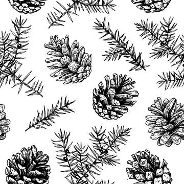 Christmas seamless pattern with pine cones and juniper. Monochrome vector i.. Stock Illustration