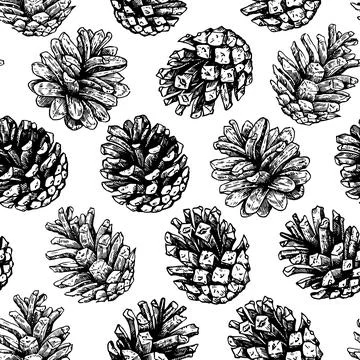 Christmas seamless pattern with pine cones and juniper. Monochrome vector i.. Stock Illustration