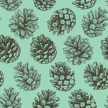 Christmas seamless pattern with pine cones and juniper. Monochrome vector i.. Stock Illustration