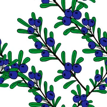 Christmas seamless pattern of red and blue holly berries. Christmas holiday Stock Illustration