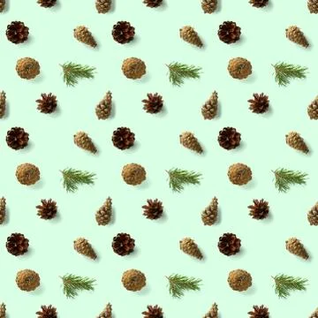 Christmas seamless patterns with Pine cones wine cork and lingonberry. patter Stock Photos