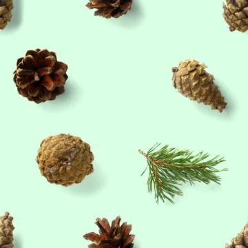 Christmas seamless patterns with Pine cones wine cork and lingonberry. patter Stock Photos