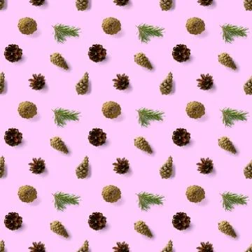 Christmas seamless patterns with Pine cones wine cork and lingonberry. patter Stock Photos
