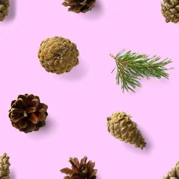 Christmas seamless patterns with Pine cones wine cork and lingonberry. patter Stock Photos