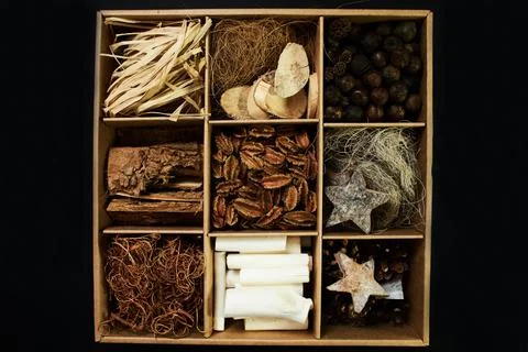Christmas set of dry decorations elements Stock Photos