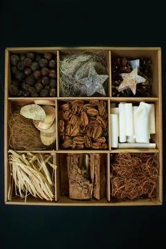 Christmas set of dry decorations elements Stock Photos