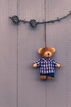Christmas setting composition gifts forest teddy bear Stock Photos
