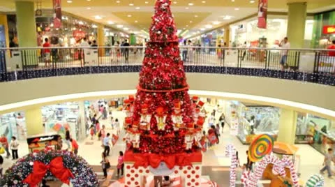 Christmas Shoppers 库存影片 10391000