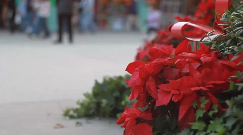 Christmas shopping Stock Footage 921916