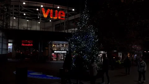 Christmas shopping. Stock Footage 165546241