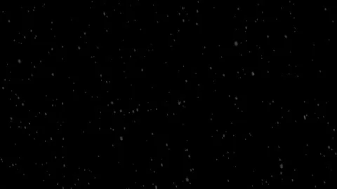 Christmas Snow falling Stock-Footage 284252934