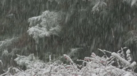 Christmas Snow 库存影片 11522192